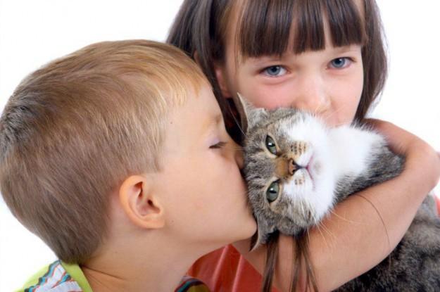 Аллергия на кошку: развитие, симптомы и лечения