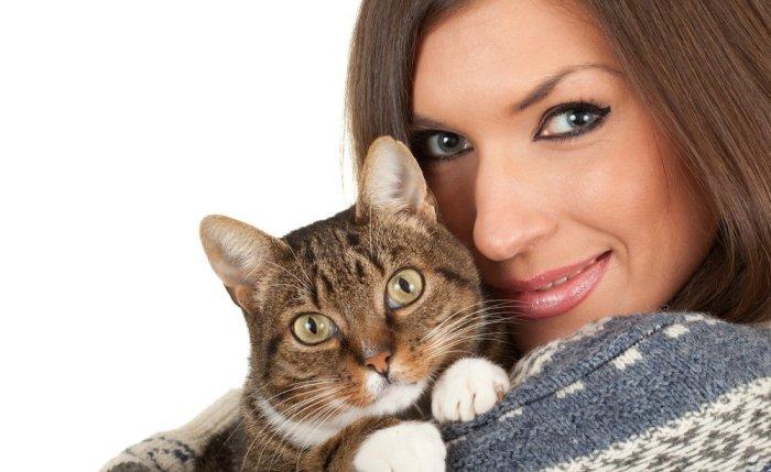 Аллергия на кошку: развитие, симптомы и лечения