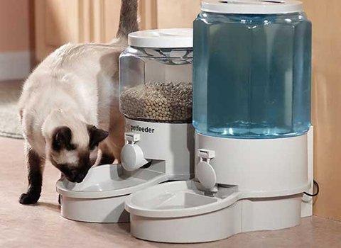 Автоматическая кормушка для кошек – это решение множества проблем