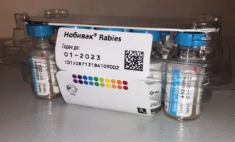 Нобивак для собак: схема вакцинации щенков