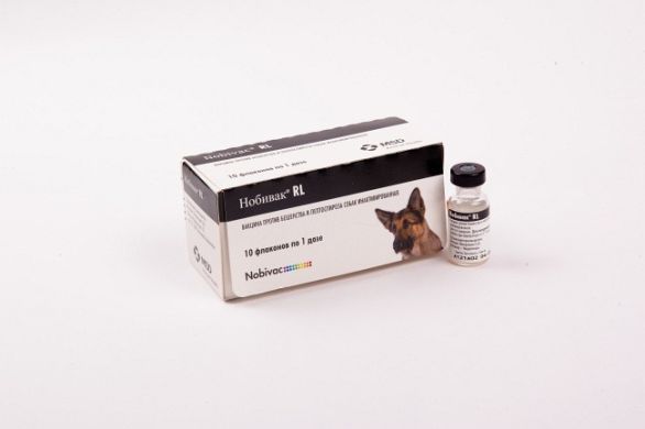 Вакцина Нобивак для собак: инструкция по применению, схема вакцинации, аналоги
